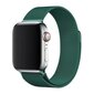 Kellarihm Magnetic Strap Watch Strap 6/5/4/3/2 / SE (40mm / 38mm) Magnetic Band Bracelet (Green) цена и информация | Nutikellade ja nutivõrude tarvikud | kaup24.ee