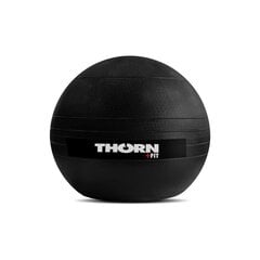 Весовой мяч 20 кг цена и информация | Медболы | kaup24.ee