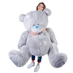 Plüüskaru "Teddy" 160 cm цена и информация | Мягкие игрушки | kaup24.ee