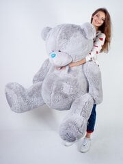 Plüüskaru "Teddy" 160 cm цена и информация | Мягкие игрушки | kaup24.ee