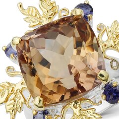 Серебряное (925) кольцо с драгоценными камнями, код f50282 F50282EU-59 цена и информация | Кольцо | kaup24.ee