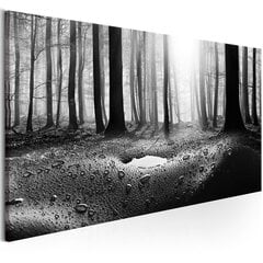 Pilt - Forest after Rain (1 Part) Narrow 150x50 cm hind ja info | Seinapildid | kaup24.ee