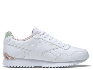 Spordijalatsid Reebok Royal glide gx5999 hind ja info | Naiste spordi- ja vabaajajalatsid | kaup24.ee