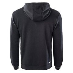 HOODIE FILA BARUMINI HOODY FAU006880009 цена и информация | Мужские толстовки | kaup24.ee