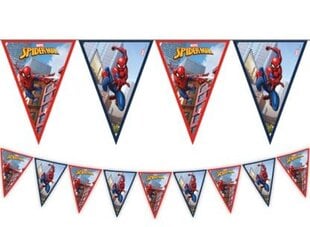 Флажки Spiderman Crime Fighter (9 шт.) цена и информация | Гудки для вечеринки Clown Face (4шт.) | kaup24.ee