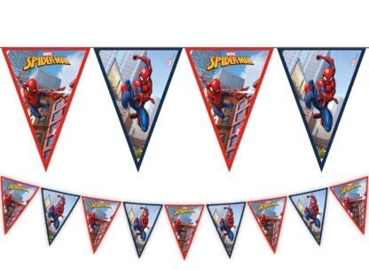 Lippude vanik "Spiderman Crime Fighter" (9 lippu) цена и информация | Peokaunistused | kaup24.ee