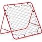 Treeningraam jalgpallile - Rebounder, 100x100 цена и информация | Jalgpalliväravad ja -võrgud | kaup24.ee