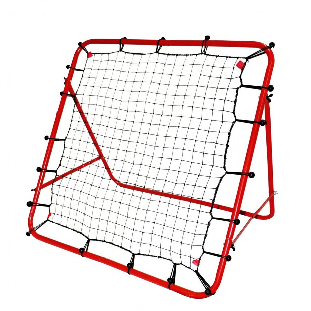 Treeningraam jalgpallile - Rebounder, 100x100 hind ja info | Jalgpalliväravad ja -võrgud | kaup24.ee