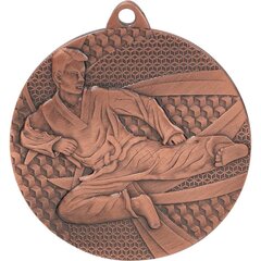 Medal - Karate, pronks hind ja info | Numismaatika | kaup24.ee