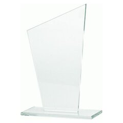 Klaasist trofee hind ja info | Muud kingitused | kaup24.ee