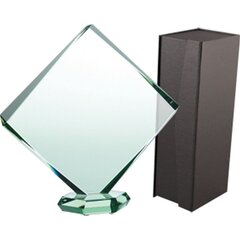 Klaasist trofee koos ümbrisega, 20cm hind ja info | Muud kingitused | kaup24.ee