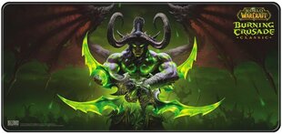 Blizzard World of WarCraft Burning Crusade - Illidan  цена и информация | Blizzard Entertainment Компьютерная техника | kaup24.ee