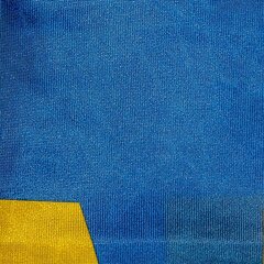 Ukraina lipp kirjaga "СЛАВА УКРАЇНІ!" hind ja info | Lipud ja tarvikud | kaup24.ee