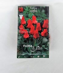 Tulbid Red Riding Hood, 10 tk hind ja info | Lillesibulad | kaup24.ee