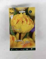 Tulbid Yellow Pomponette, 10 tk цена и информация | Луковицы цветов | kaup24.ee