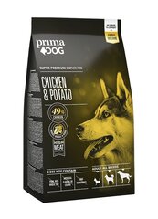 PrimaDog Adult Chicken Potato безглютеновый сухой корм для взрослых собак с курицей, 2 кг цена и информация | Сухой корм для собак | kaup24.ee