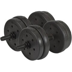 Набор гирь - Enero Fit, 20 кг, 2x10 кг цена и информация | Грузы, гантели, грифы | kaup24.ee