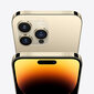 Apple iPhone 14 Pro Max 1TB Gold MQC43PX/A цена и информация | Telefonid | kaup24.ee
