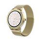 Denver SW-360 Gold hind ja info | Nutikellad (smartwatch) | kaup24.ee