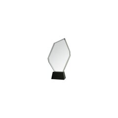 Klaasist trofee koos korpusega, 29 cm hind ja info | Muud kingitused | kaup24.ee