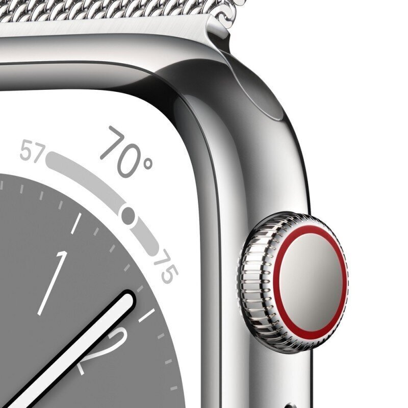 Apple Watch Series 8 GPS + Cellular 41mm Silver Stainless Steel Case ,Silver Milanese Loop MNJ83UL/A цена и информация | Nutikellad (smartwatch) | kaup24.ee