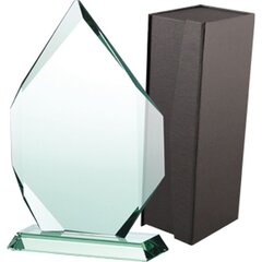 Klaasist trofee koos karbiga, 27cm hind ja info | Muud kingitused | kaup24.ee