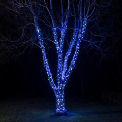 100 LED-pirniga professionaalne õue valguskett Brosberg, sinine hind ja info | Jõulutuled | kaup24.ee