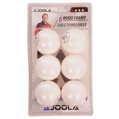 Мячи для настольного тенниса Joola Rossi Champ, 6шт. цена и информация | Мячи для настольного тенниса | kaup24.ee