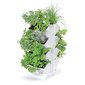 Lillepeenar vertikaalne aed - Prosperplast, valge hind ja info | Dekoratiivsed lillepotid | kaup24.ee