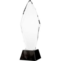 Klaasist trofee koos karbiga hind ja info | Muud kingitused | kaup24.ee
