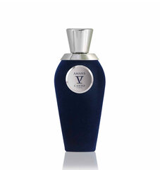 Parfüümvesi Tiziana Terenzi V Canto Amans EDP unisex 100 ml hind ja info | Naiste parfüümid | kaup24.ee