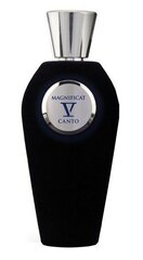 Naiste parfüüm V Canto Magnificat Extrait de Parfum 100 ml цена и информация | Женские духи | kaup24.ee