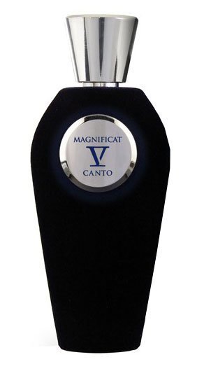 Naiste parfüüm V Canto Magnificat Extrait de Parfum 100 ml цена и информация | Naiste parfüümid | kaup24.ee
