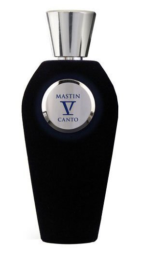 Parfüümvesi V Canto Mastin EDP naistele/meestele 100 ml hind ja info | Naiste parfüümid | kaup24.ee