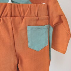Beebi komplekt Bonjour цена и информация | Комплекты одежды для новорожденных | kaup24.ee