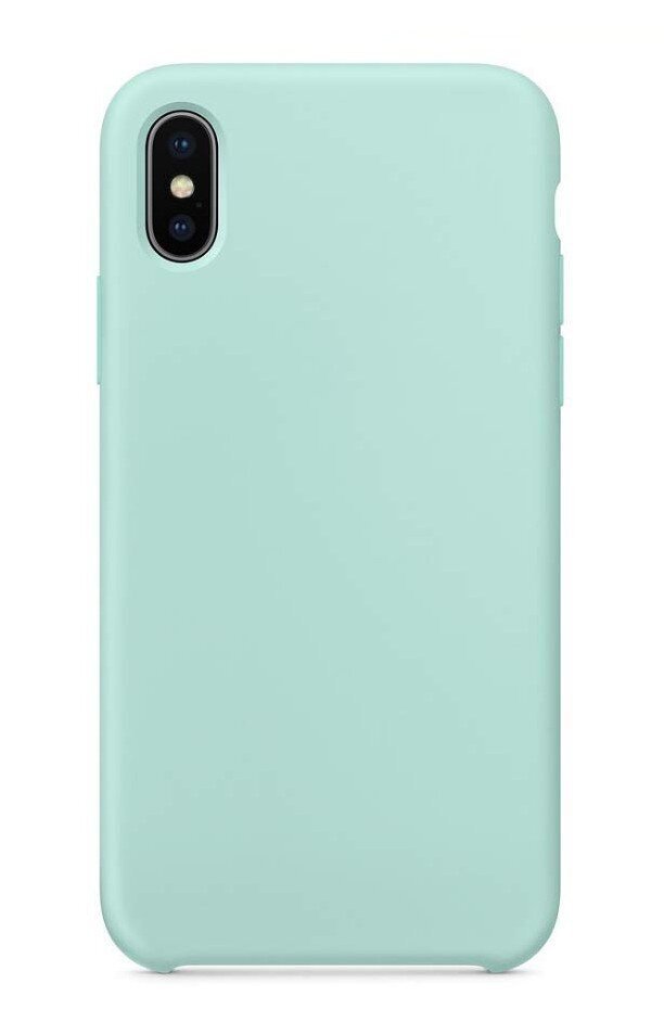 Telefoniümbris Liquid Silicone 1.5mm Apple iPhone X/XS piparmündi värv цена и информация | Telefoni kaaned, ümbrised | kaup24.ee