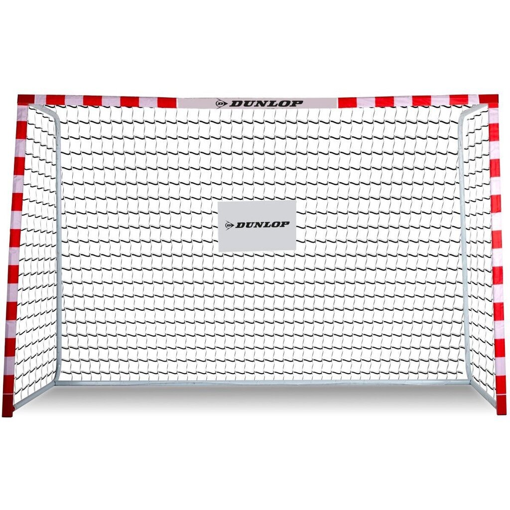 Jalgpallivärav Dunlop Allround, 300x200x110 cm цена и информация | Jalgpalliväravad ja -võrgud | kaup24.ee