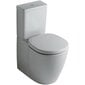WC pott Ideal Standard Connect цена и информация | WС-potid | kaup24.ee