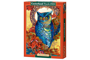 Castorland Copy of Hoot puzzle by David Galchutt, 1500 tükki цена и информация | Пазлы | kaup24.ee