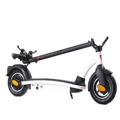 Электрический скутер 36v 500w, белый цена и информация | Электросамокаты | kaup24.ee