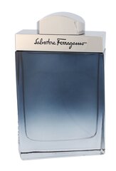 Salvatore Ferragamo Subtil EDT meestele 100 ml hind ja info | Meeste parfüümid | kaup24.ee