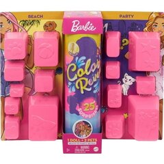 Barbie nukk "Maxi üllatus" цена и информация | Игрушки для девочек | kaup24.ee