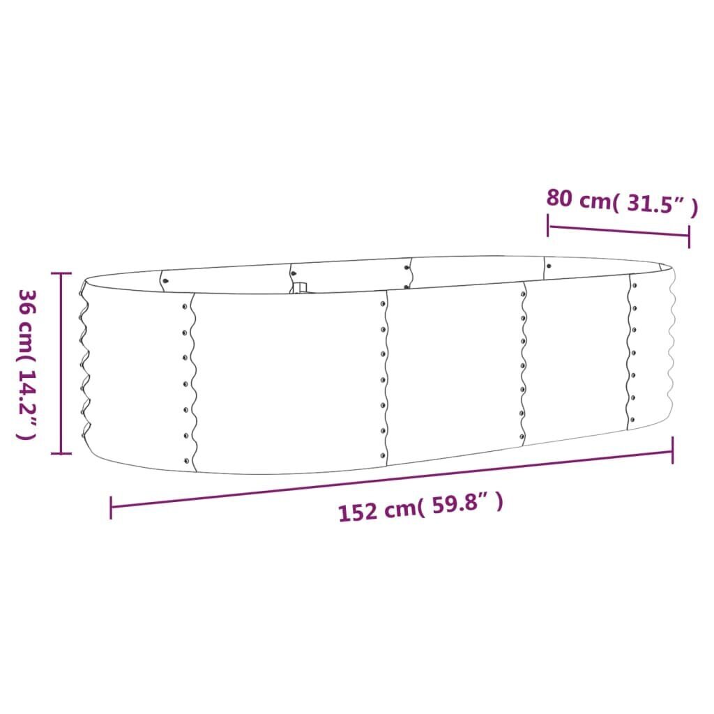 Aiapeenar 36 cm hind ja info | Lillekastid | kaup24.ee