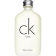 Parfüüm universaalne naiste&meeste Ck One Calvin Klein EDT: Maht - 300 ml