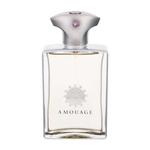 Amouage Reflection Man EDP 100ml цена и информация | Meeste parfüümid | kaup24.ee