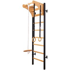 Деревянно-металлическая гимнастическая лестница - BenchK 212B цена и информация | Шведские стенки | kaup24.ee