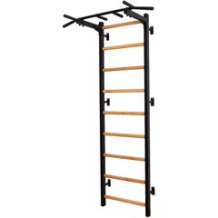 Деревянно-металлическая гимнастическая лестница - BenchK 311B цена и информация | Шведские стенки | kaup24.ee