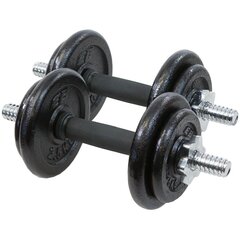 Kaalud koos kohvriga - Eb Fit, 19 kg, 2x9,5 kg цена и информация | Гантели, гири, штанги | kaup24.ee