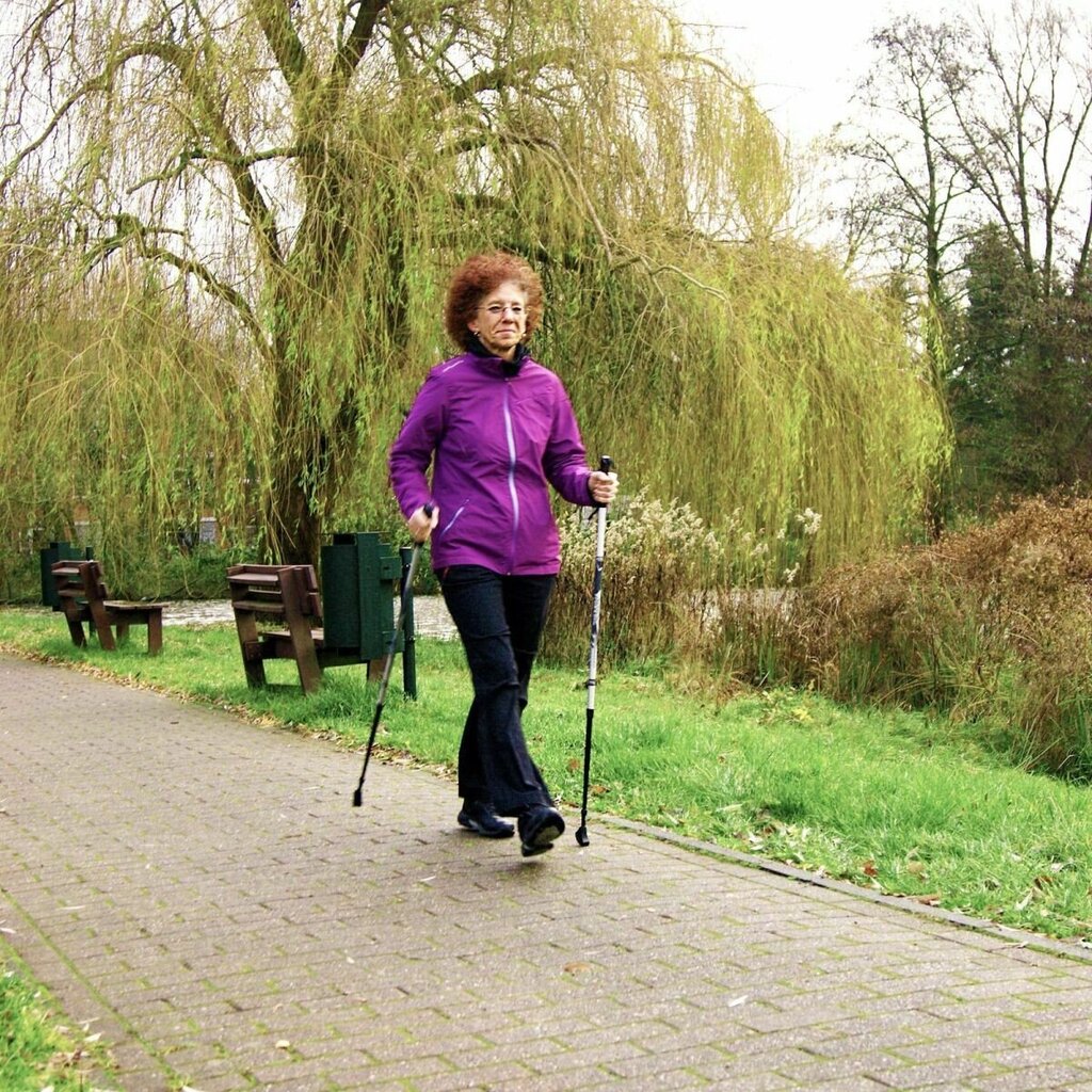 Kõndimiskepid - NORDIC WALKING, 84-140 cm hind ja info | Käimiskepid | kaup24.ee