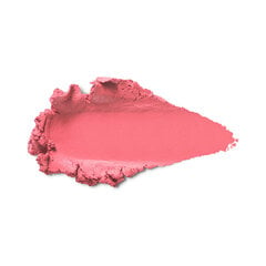 põsepuna Kiko Milano Velvet Touch Creamy Stick Blush, 05 Camelia Red цена и информация | Бронзеры (бронзаторы), румяна | kaup24.ee